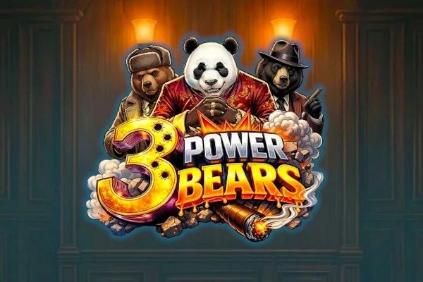 3 Power Bears cover