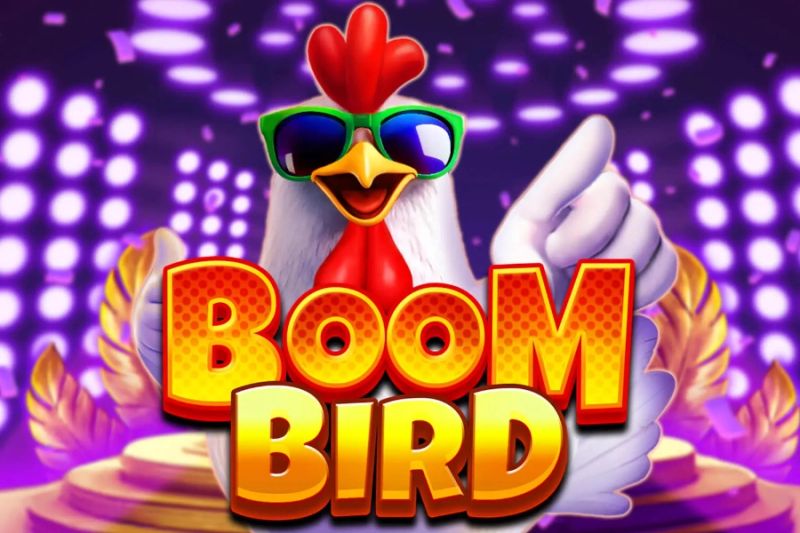 Boom Bird cover