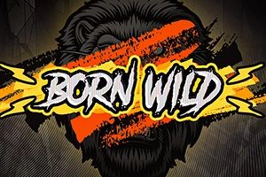Born Wild cover