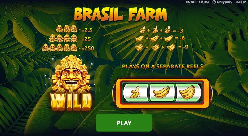 Brazil Farm cover