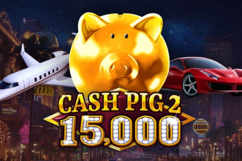 Cash Pig 2 15,000 cover