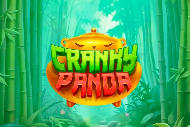 Cranky Panda cover
