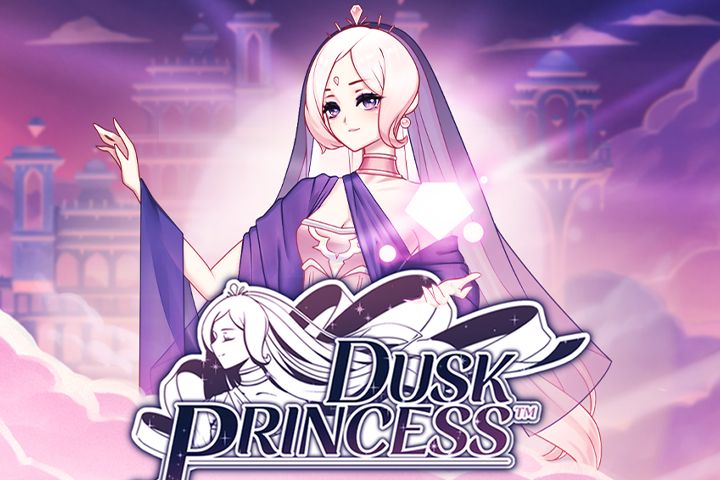 Dusk Princess cover