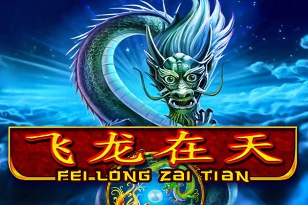 Fei Long Zai Tian cover