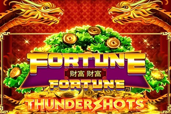 Fortune Fortune Thundershots cover