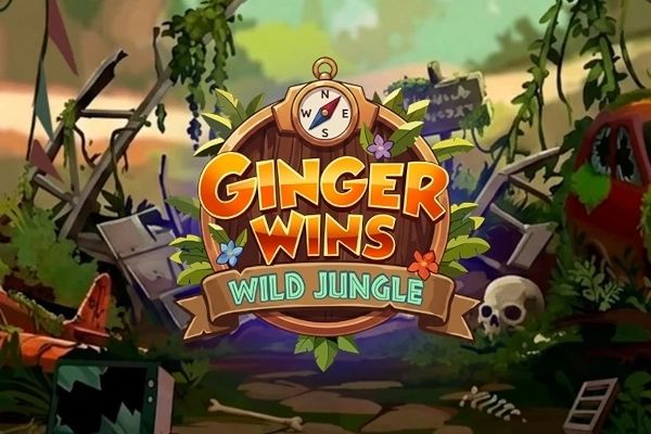 Ginger Wins cover