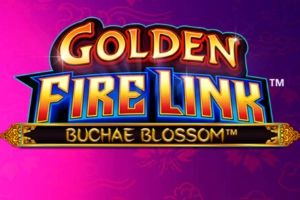 Golden Fire Link - Buchae Blossom cover