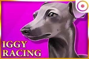 Iggy Racing cover