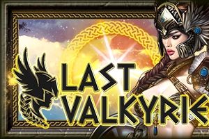 Last Valkyrie cover