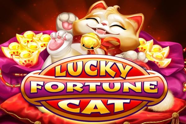 Lucky Fortune Cat cover