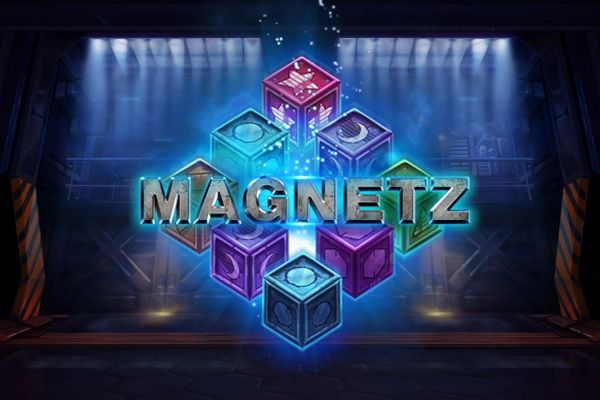 Magnetz cover