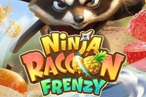 Ninja Raccoon Frenzy cover