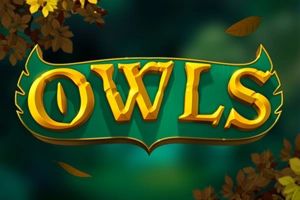 Owls cover