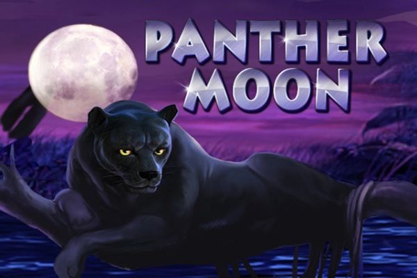 Panther Moon cover