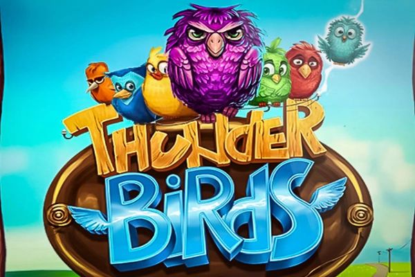 Power Zones: Thunder Birds cover