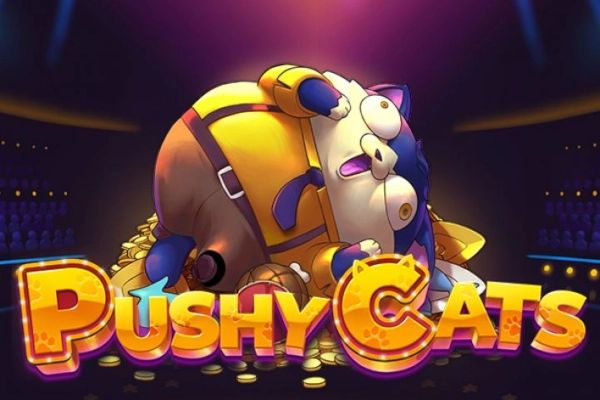 Pushy Cats cover