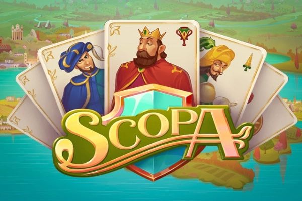 Scopa cover
