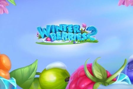 Winterberries 2 cover