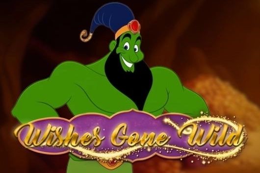 Wishes Gone Wild cover